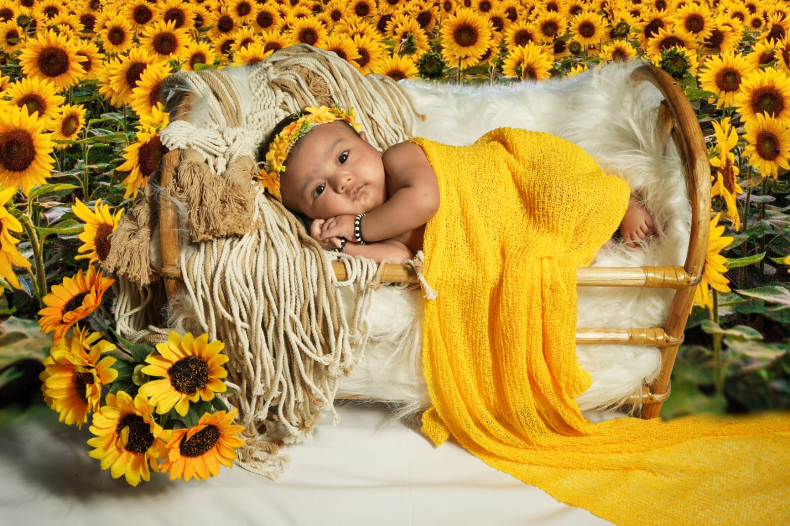 Sunflower Theme